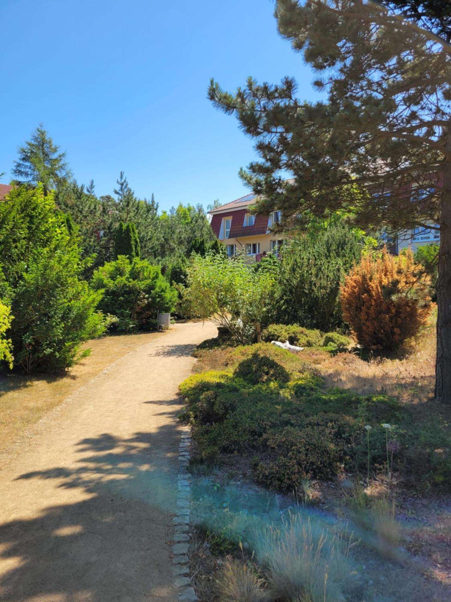 Dünengarten Kühlungsborn Dış mekan fotoğraf